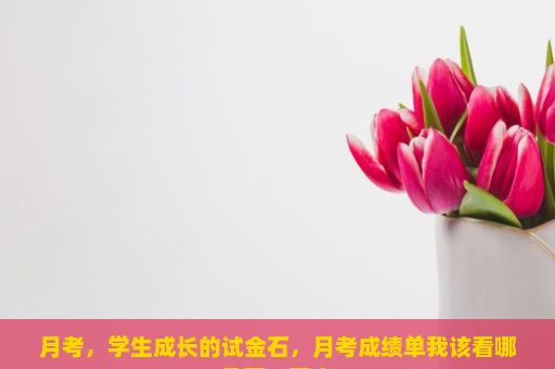 月考，学生成长的试金石，月考成绩单我该看哪几页？正文