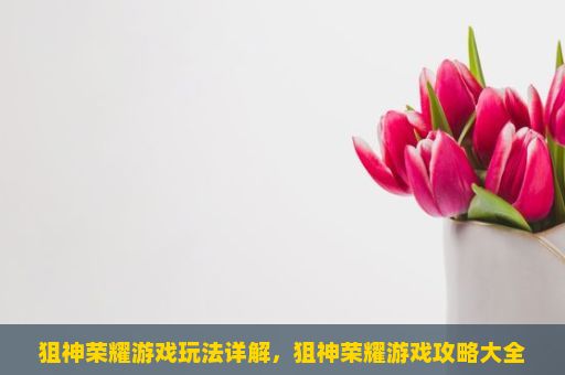 狙神荣耀游戏玩法详解，狙神荣耀游戏攻略大全