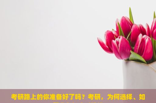 考研路上的你准备好了吗？考研，为何选择、如何准备与应对挑战