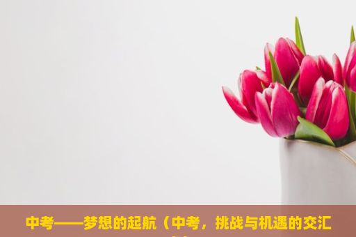 中考——梦想的起航（中考，挑战与机遇的交汇点）