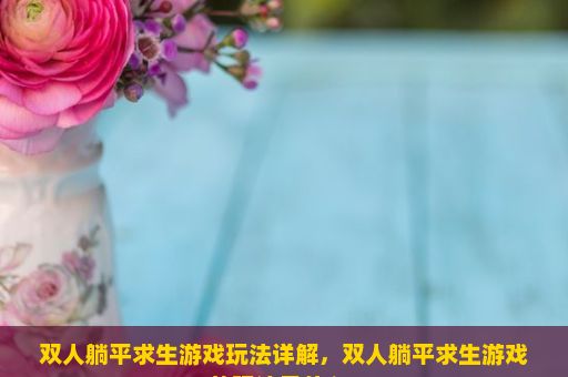 双人躺平求生游戏玩法详解，双人躺平求生游戏的玩法是什么？