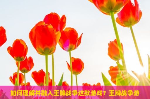 如何理解并融入王牌战争这款游戏？王牌战争游戏玩法详解