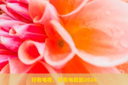 好看电视，好看电视剧2024