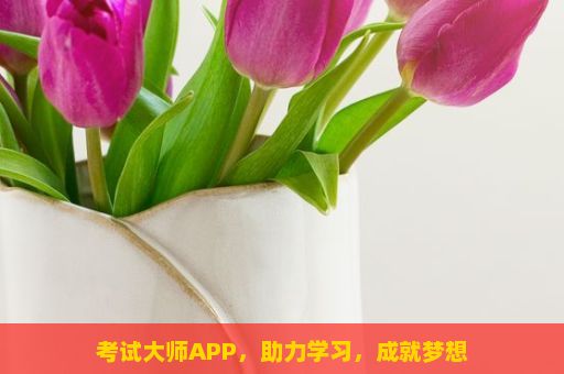 考试大师APP，助力学习，成就梦想