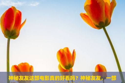 神秘友友这部电影真的好看吗？神秘友友，一部引人入胜的视觉盛宴