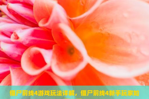 僵尸前线4游戏玩法详解，僵尸前线4新手玩家如何入门？