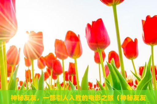 神秘友友，一部引人入胜的电影之旅（神秘友友，一部引人入胜的视觉盛宴）