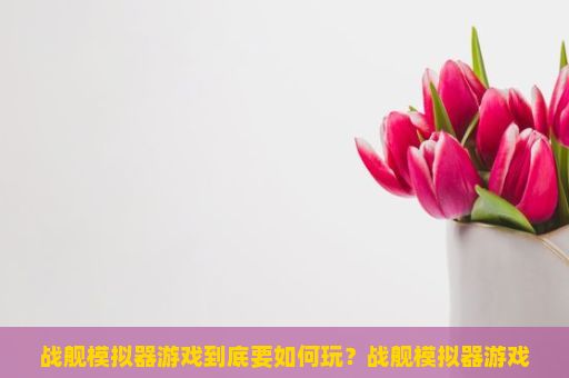 战舰模拟器游戏到底要如何玩？战舰模拟器游戏玩法详解