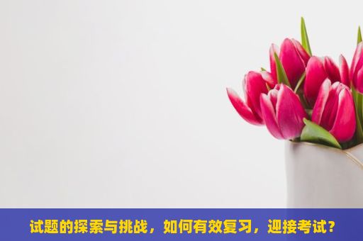 试题的探索与挑战，如何有效复习，迎接考试？