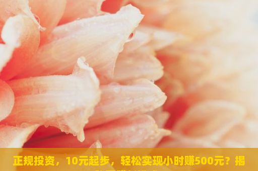 正规投资，10元起步，轻松实现小时赚500元？揭秘网赚新模式！