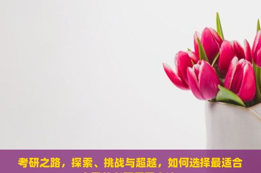 考研之路，探索、挑战与超越，如何选择最适合自己的考研复习方法？