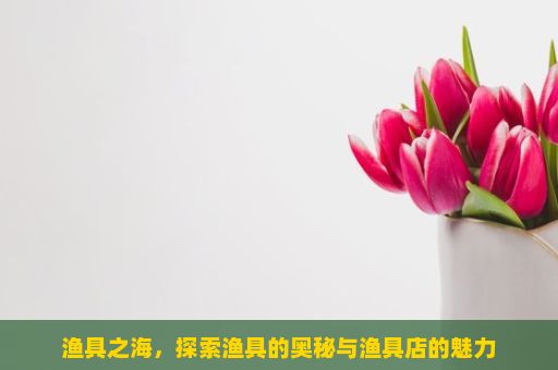 渔具之海，探索渔具的奥秘与渔具店的魅力