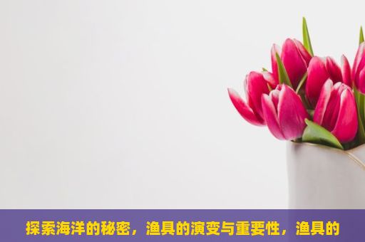 探索海洋的秘密，渔具的演变与重要性，渔具的选购和使用指南