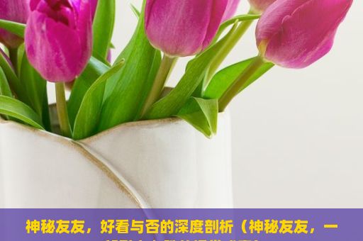 神秘友友，好看与否的深度剖析（神秘友友，一部引人入胜的视觉盛宴）