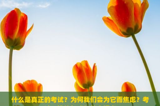 什么是真正的考试？为何我们会为它而焦虑？考试，挑战与成长的交汇点