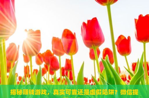 揭秘赚钱游戏，真实可靠还是虚假陷阱？微信提现全解析