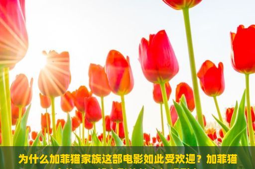 为什么加菲猫家族这部电影如此受欢迎？加菲猫家族，一部电影的魅力与吸引力