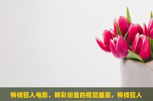 特技狂人电影，精彩纷呈的视觉盛宴，特技狂人电影好看吗？