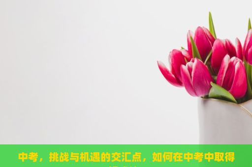 中考，挑战与机遇的交汇点，如何在中考中取得好成绩？