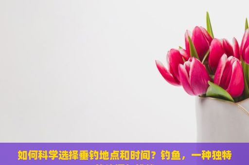 如何科学选择垂钓地点和时间？钓鱼，一种独特的休闲与挑战