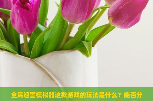 全民巡警模拟器这款游戏的玩法是什么？能否分享一些实用攻略？全民巡警模拟器游戏玩法详解