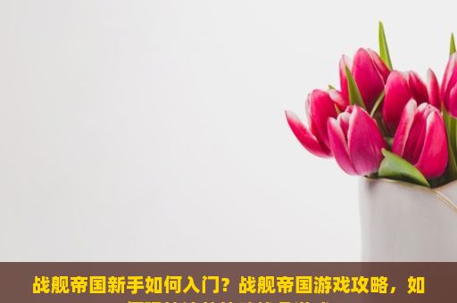 战舰帝国新手如何入门？战舰帝国游戏攻略，如何玩转这款策略战争游戏