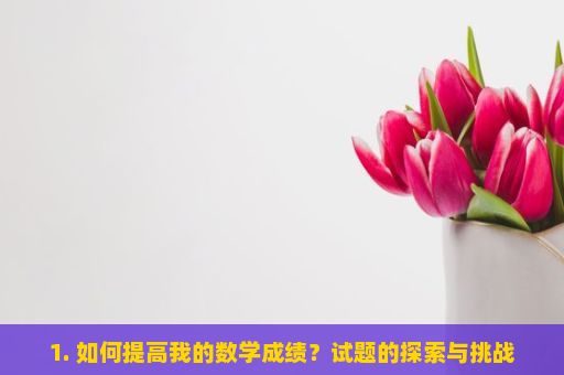 1. 如何提高我的数学成绩？试题的探索与挑战