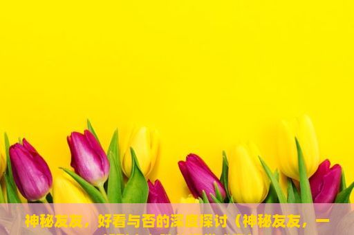 神秘友友，好看与否的深度探讨（神秘友友，一部引人入胜的视觉盛宴）