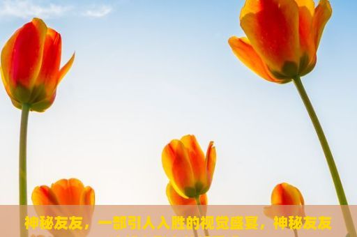 神秘友友，一部引人入胜的视觉盛宴，神秘友友这部电影真的好看吗？