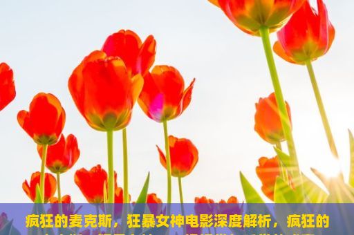 疯狂的麦克斯，狂暴女神电影深度解析，疯狂的麦克斯，狂暴女神，一场视觉与听觉的盛宴