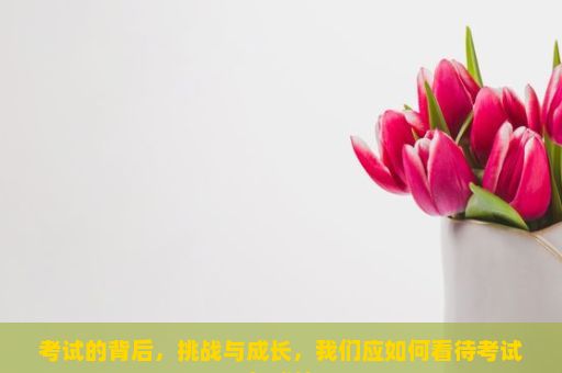 考试的背后，挑战与成长，我们应如何看待考试与成绩