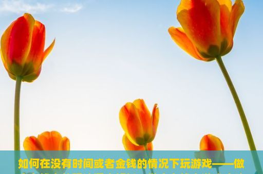 如何在没有时间或者金钱的情况下玩游戏——做个有钱人的玩法深度解析，做个有钱人游戏攻略，如何轻松上手并享受财富积累的乐趣