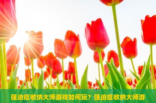 强迫症收纳大师游戏如何玩？强迫症收纳大师游戏玩法详解