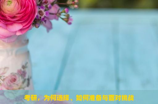 考研，为何选择、如何准备与面对挑战