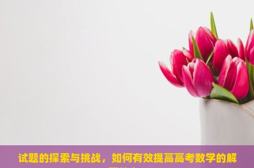 试题的探索与挑战，如何有效提高高考数学的解题能力？