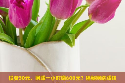 投资30元，网赚一小时赚600元？揭秘网络赚钱的真相