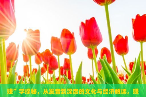 赚”字探秘，从发音到深度的文化与经济解读，赚钱的艺术与策略