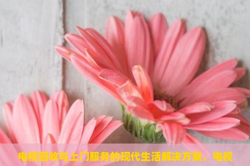 电视回收与上门服务的现代生活解决方案，电视回收与环保同行—如何正确处理旧电视