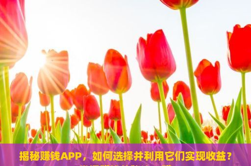 揭秘赚钱APP，如何选择并利用它们实现收益？掌握赚钱的秘诀—赚