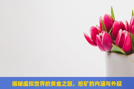 揭秘虚拟世界的黄金之旅，挖矿的内涵与外延