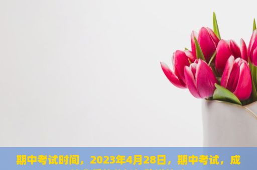 期中考试时间，2023年4月28日，期中考试，成绩背后的分析与改进策略