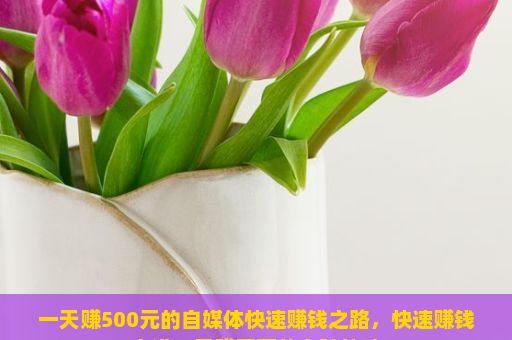 一天赚500元的自媒体快速赚钱之路，快速赚钱之道，日赚五百的多种策略