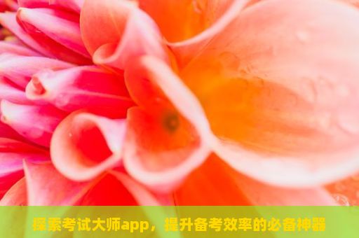 探索考试大师app，提升备考效率的必备神器