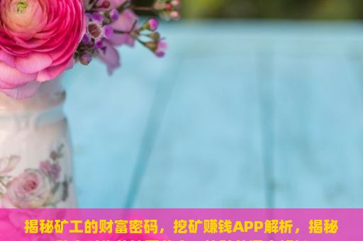 揭秘矿工的财富密码，挖矿赚钱APP解析，揭秘数字时代的地下黄金，挖矿的深度解析