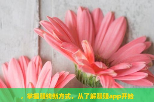 ，掌握赚钱新方式，从了解赚赚app开始