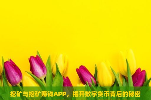 挖矿与挖矿赚钱APP，揭开数字货币背后的秘密，比特币挖矿，既是技术革新，又是投资风险的深渊