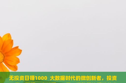 无投资日赚1000  大数据时代的微创新者，投资30元，网赚一小时赚600元？揭秘网络赚钱的真相