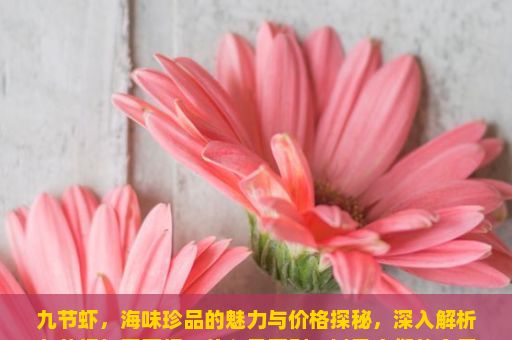 九节虾，海味珍品的魅力与价格探秘，深入解析九节虾与基围虾，什么是区别，以及它们的食用价值