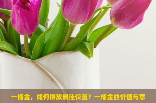 一桶金，如何摆放最佳位置？一桶金的价值与意义