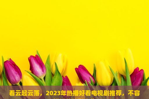 看云起云落，2023年热播好看电视剧推荐，不容错过的精彩之作